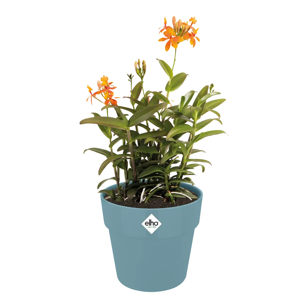 Bloempot Elho B.for Original Rond 30cm -Duifblauw - Afbeelding 3