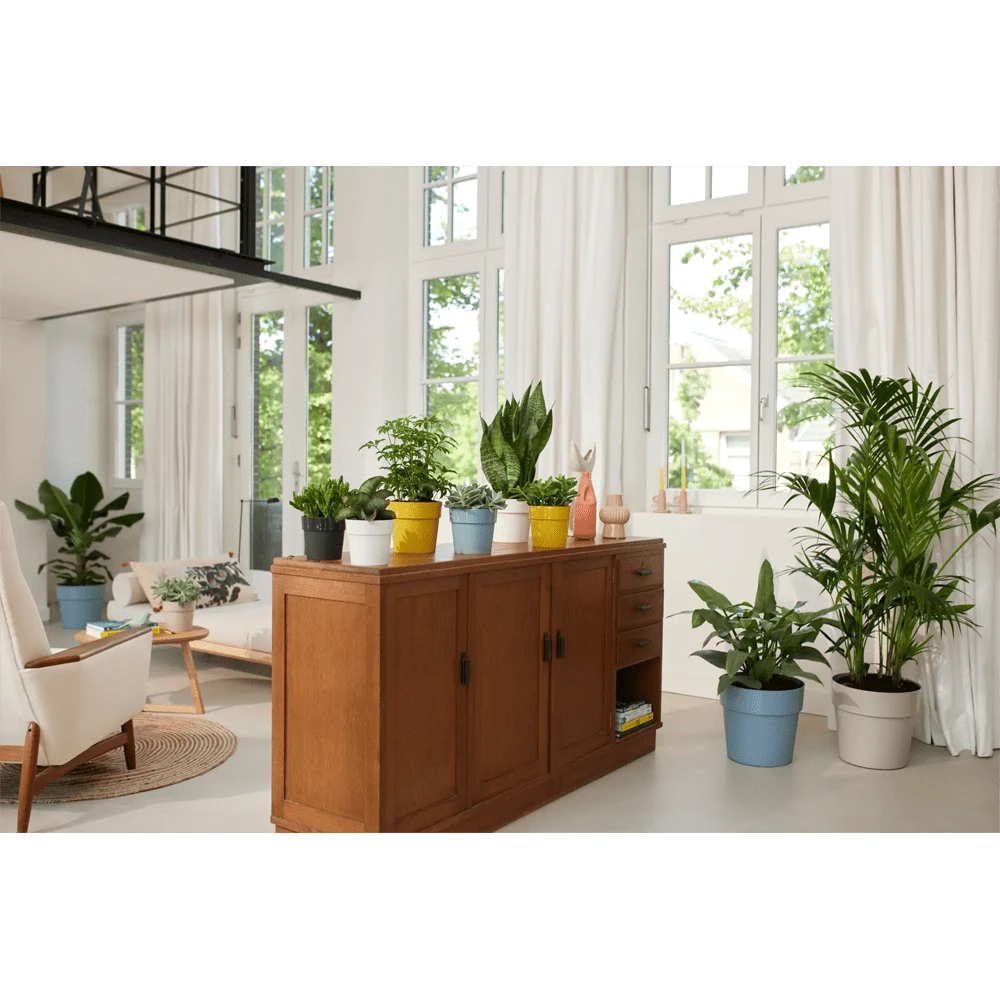 Bloempot Elho B.for Original Rond 30cm -Duifblauw - Afbeelding 4