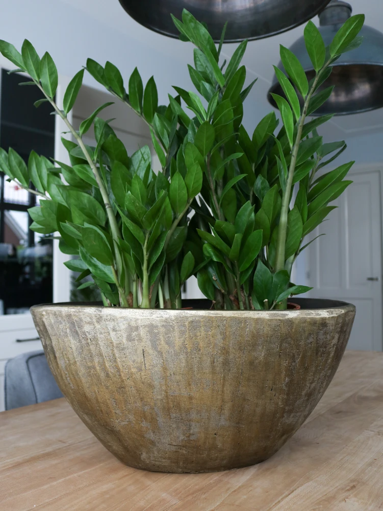 Bloempot Kos Ovaal - L41 X B19 X H22cm - Goud - Afbeelding 2