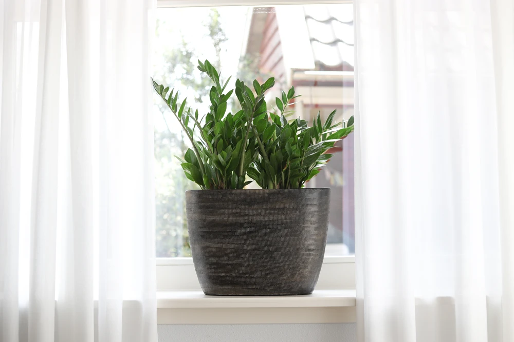 Bloempot Tokio Ovaal - L40 X B14 X H12cm - Goud - Afbeelding 2