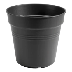 Elho Green Basics Kweekpot 40cm - Living Black