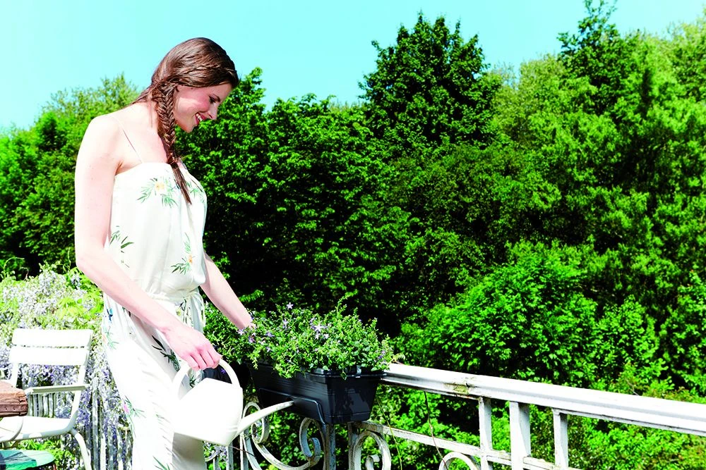 Balkonbak Elho Green Basics Allin1 50cm - Bladgroen - Afbeelding 2