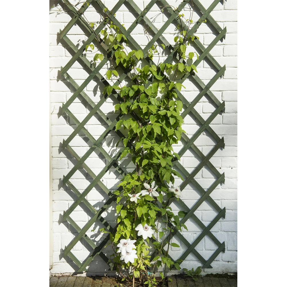 Nature - Houten Klimrek Groen 100x200cm - Afbeelding 3