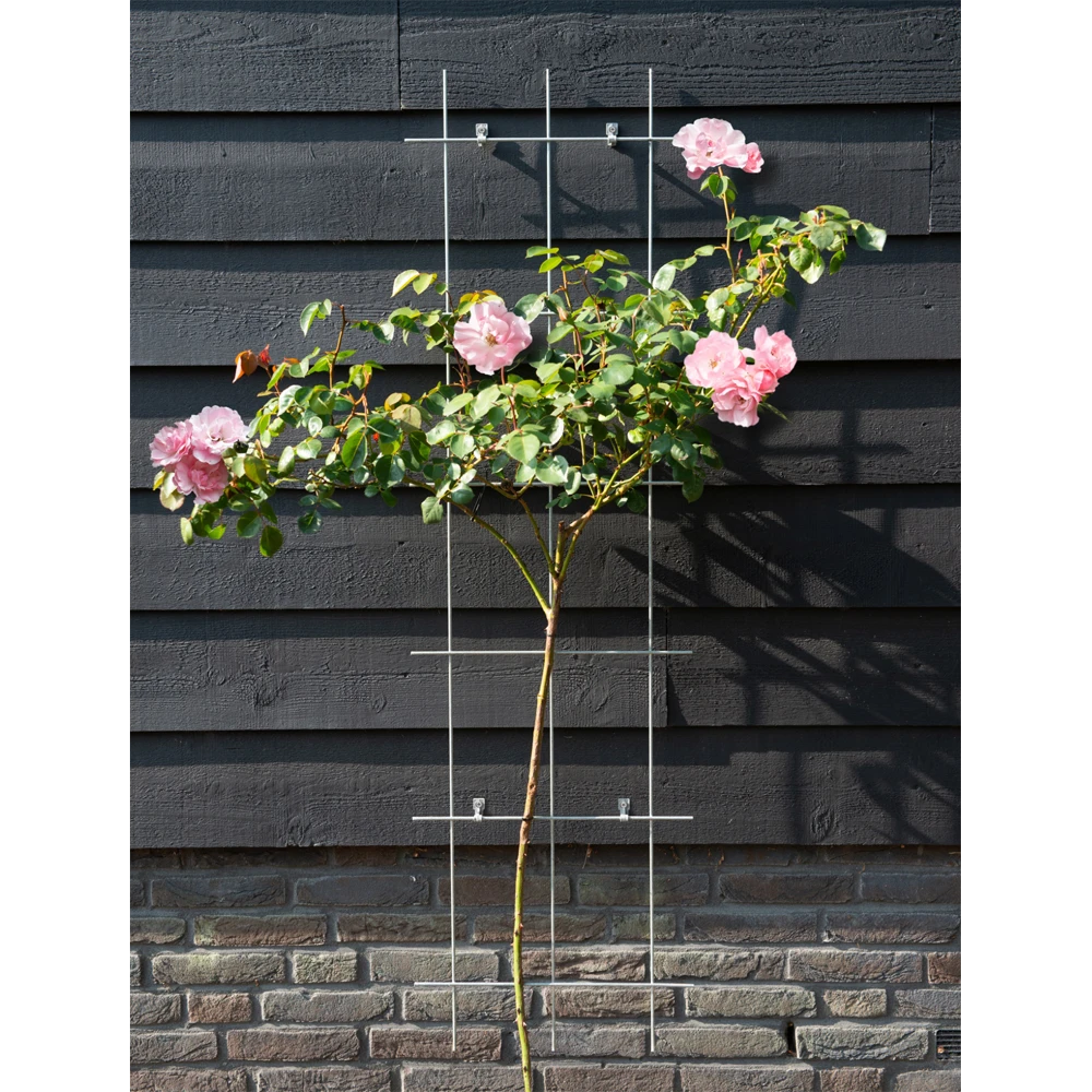 Nature - Metalen Klimrek Geplastificeerd Grijs H145x42,5cm - Afbeelding 2