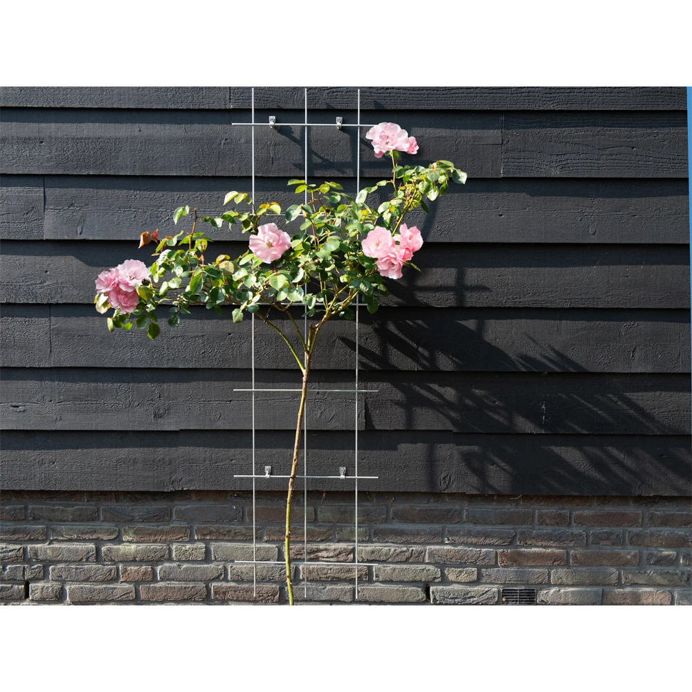 Nature - Metalen Klimrek Geplastificeerd Grijs H145x42,5cm - Afbeelding 3