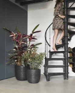 Capi Bloempot Bol Nature Rib NL - D35 X H34cm - Zwart