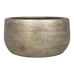 Plantenschaal Mira - D29 X H14cm - Goud