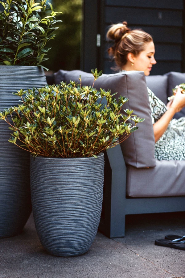 Capi Bloempot Nature Elegant Rib NL - D46 X H58cm - Donkergrijs - Afbeelding 2