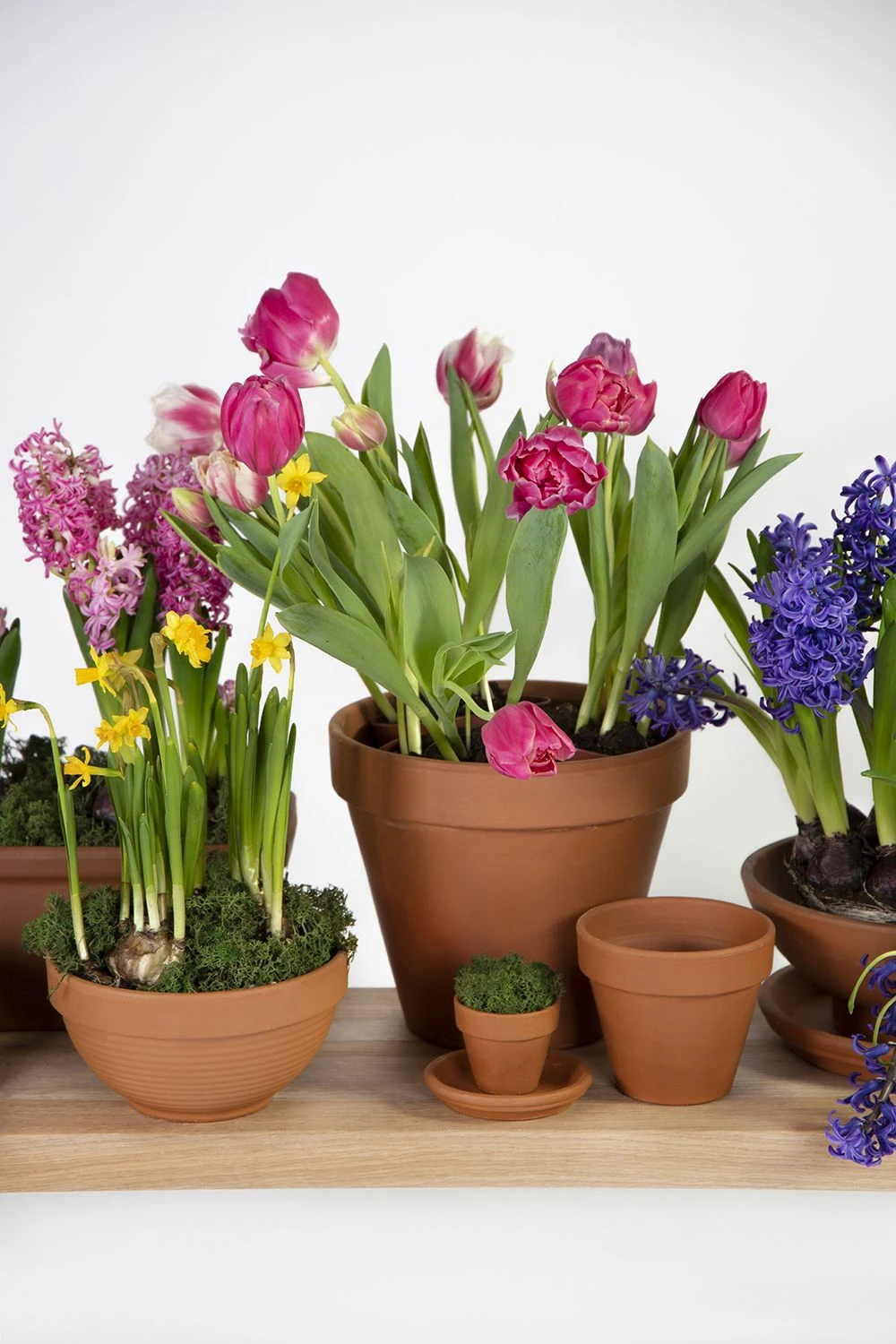 Bloempot Vaso - D37 X H32.5cm - Oranje - Afbeelding 2