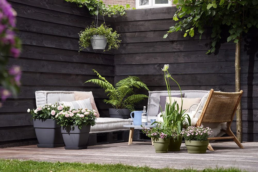 Bloempot Elho Vibia Campana Vierkant 37cm - Antraciet - Afbeelding 4