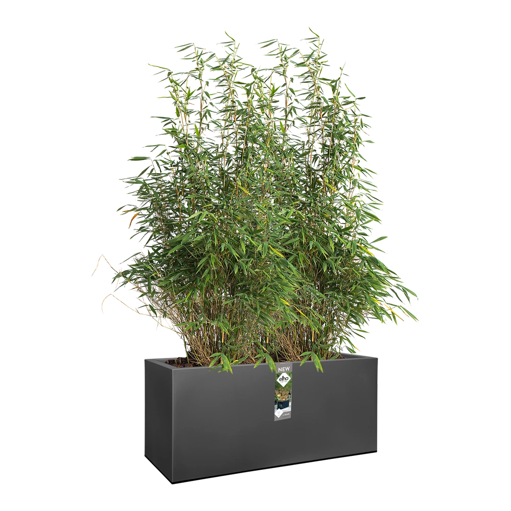 Elho Vivo Matt Finish Lang Wielen 90cm - Living Black - Afbeelding 3