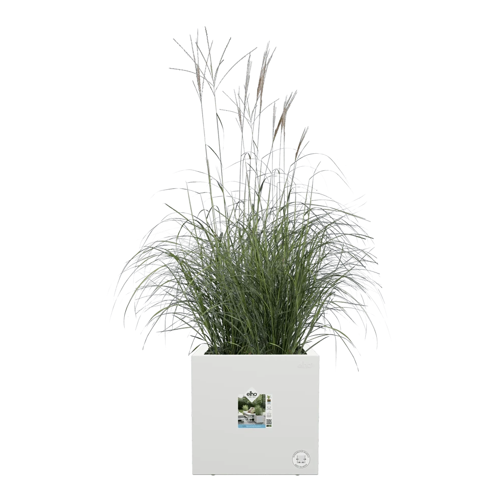 Elho Vivo Next Vierkant Wielen 40cm - Wit - Afbeelding 5